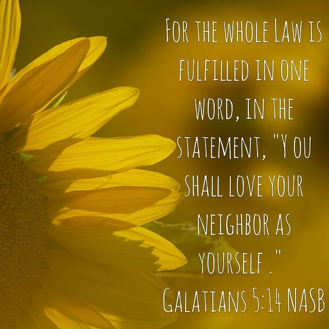 img_20160724_013210-gal-5-14