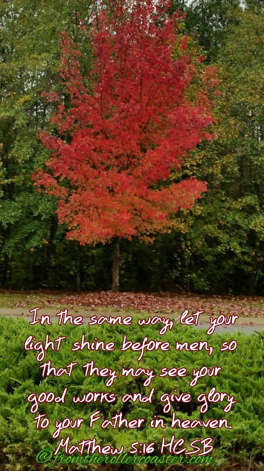 photogrid_1477087475738